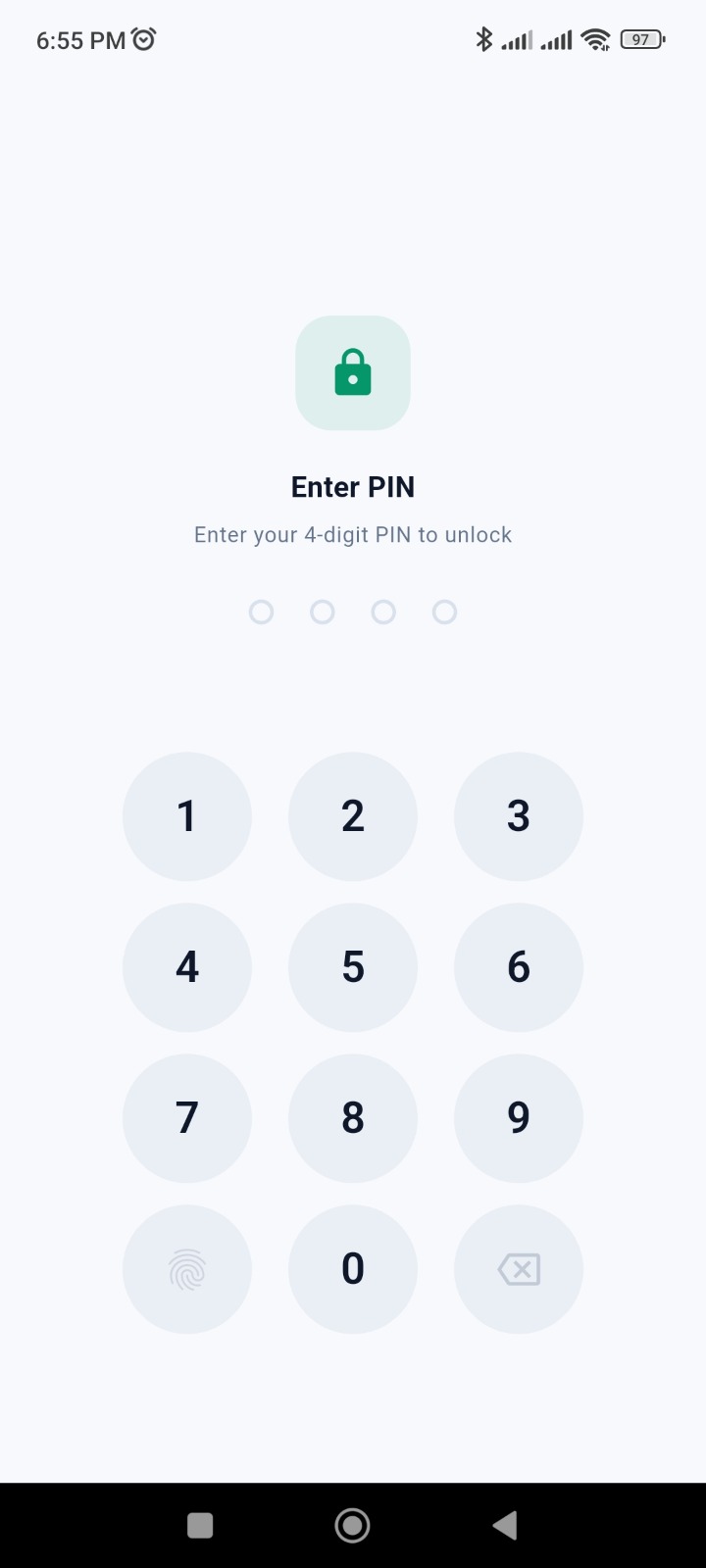 Money Manager Pro app lock screen — light theme