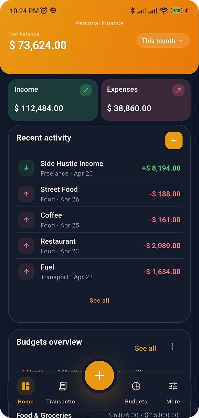 Money Manager Pro dark theme 5